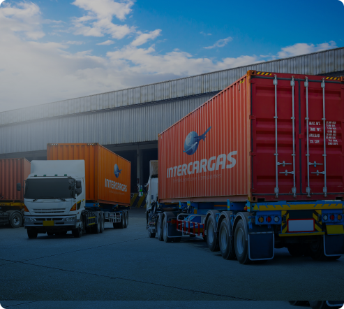 Transporte rodoviário